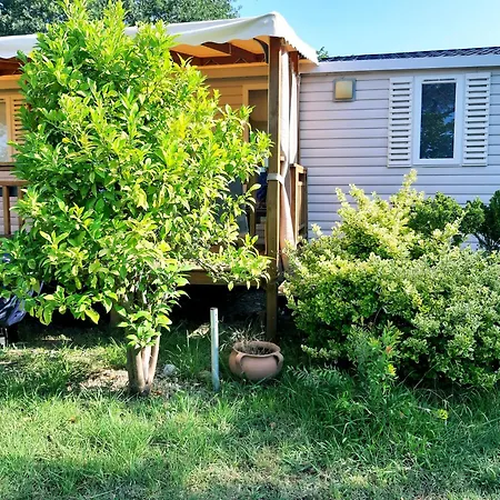 Mobil Home Dans Camping Lattes Campsite Lattes
